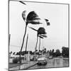 Hurricanes 1960-Harold Valentine-Mounted Photographic Print