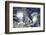 Hurricanes Irma and Jose, Satellite Image-null-Framed Photographic Print