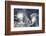 Hurricanes Irma and Jose, Satellite Image-null-Framed Photographic Print