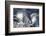 Hurricanes Irma and Jose, Satellite Image-null-Framed Photographic Print