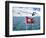 Hurtigruten Cruise Ship Postal Service Flag Displayed, Weddell Sea, Antarctica-Miva Stock-Framed Photographic Print