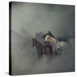 Tired Horses-Huseyin Ta?k?n-Stretched Canvas