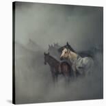 Migration Of Horses-Huseyin Ta?k?n-Stretched Canvas