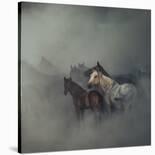 Tired Horses-Huseyin Ta?k?n-Framed Giclee Print