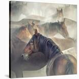 Tired Horses-Huseyin Ta?k?n-Giclee Print