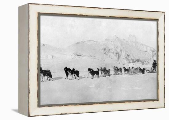 Huskies-null-Framed Premier Image Canvas