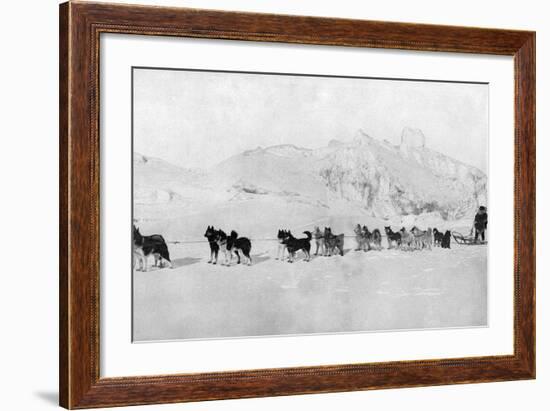 Huskies-null-Framed Photographic Print