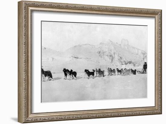 Huskies-null-Framed Photographic Print