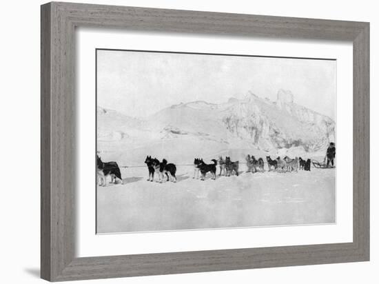 Huskies-null-Framed Photographic Print