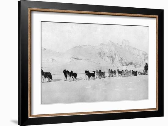 Huskies-null-Framed Photographic Print