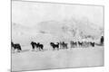 Photographic Print