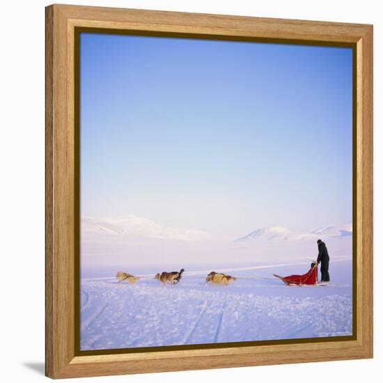 Husky Dog Sled Team, Spitsbergen, Norway, Europe-David Lomax-Framed Premier Image Canvas