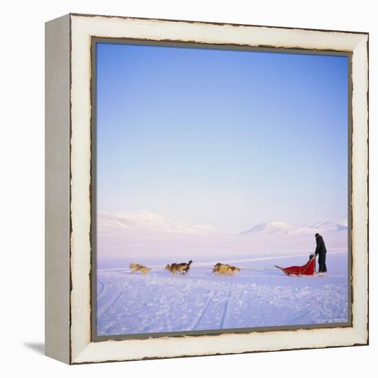 Husky Dog Sled Team, Spitsbergen, Norway, Europe-David Lomax-Framed Premier Image Canvas