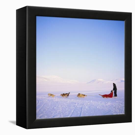 Husky Dog Sled Team, Spitsbergen, Norway, Europe-David Lomax-Framed Premier Image Canvas