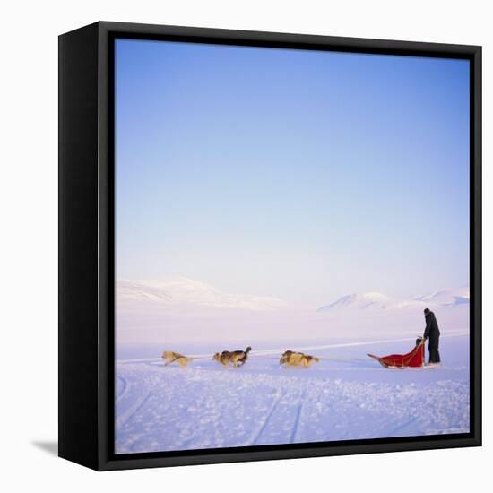 Husky Dog Sled Team, Spitsbergen, Norway, Europe-David Lomax-Framed Premier Image Canvas
