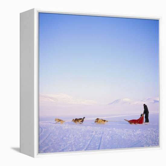 Husky Dog Sled Team, Spitsbergen, Norway, Europe-David Lomax-Framed Premier Image Canvas