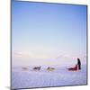 Husky Dog Sled Team, Spitsbergen, Norway, Europe-David Lomax-Mounted Photographic Print