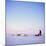 Husky Dog Sled Team, Spitsbergen, Norway, Europe-David Lomax-Mounted Photographic Print