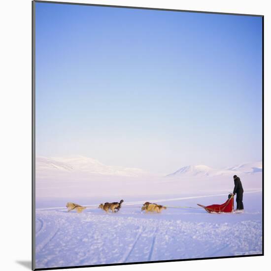 Husky Dog Sled Team, Spitsbergen, Norway, Europe-David Lomax-Mounted Photographic Print