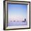 Husky Dog Sled Team, Spitsbergen, Norway, Europe-David Lomax-Framed Photographic Print