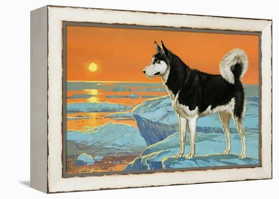 Husky Dog-Angus Mcbride-Framed Premier Image Canvas