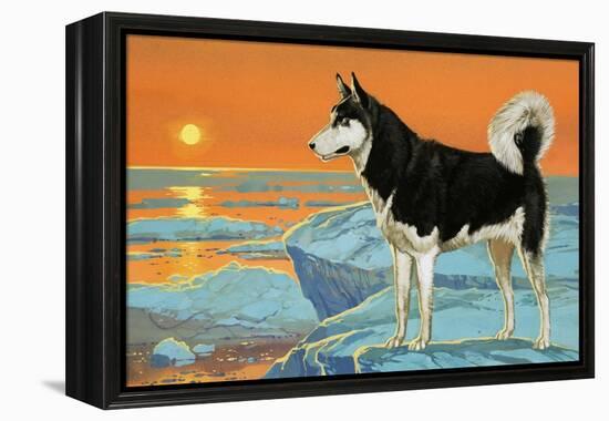 Husky Dog-Angus Mcbride-Framed Premier Image Canvas