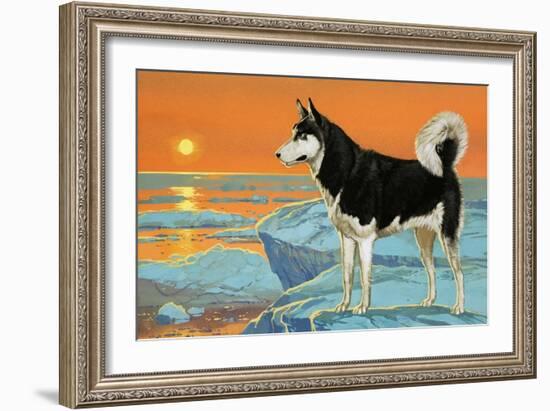 Husky Dog-Angus Mcbride-Framed Giclee Print