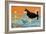 Husky Dog-Angus Mcbride-Framed Giclee Print