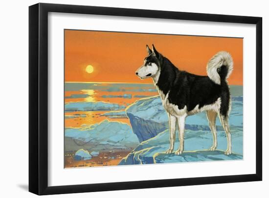 Husky Dog-Angus Mcbride-Framed Giclee Print