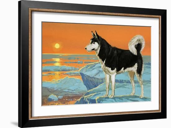 Husky Dog-Angus Mcbride-Framed Giclee Print