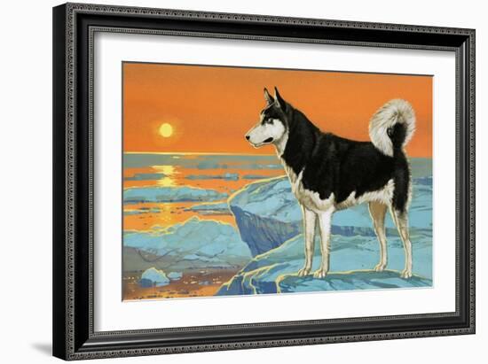 Husky Dog-Angus Mcbride-Framed Giclee Print