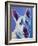 Husky - Joaquin-Dawgart-Framed Premium Giclee Print