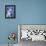 Husky - Joaquin-Dawgart-Framed Premier Image Canvas displayed on a wall