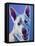 Husky - Joaquin-Dawgart-Framed Premier Image Canvas