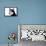 Husky Portrait-melis-Framed Premier Image Canvas displayed on a wall