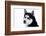 Husky Portrait-melis-Framed Photographic Print