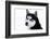 Husky Portrait-melis-Framed Photographic Print