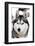 Husky Portrait-melis-Framed Photographic Print