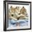 Husky Puppies (7 Weeks Old) Asleep in Bed-null-Framed Photographic Print