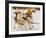 Husky sled dogs, Lapland, Finland-null-Framed Photographic Print