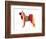 Husky-NaxArt-Framed Art Print