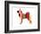 Husky-NaxArt-Framed Art Print