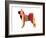 Husky-NaxArt-Framed Art Print