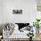 Husky-PhotoINC Studio-Framed Stretched Canvas displayed on a wall