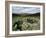 Hut Foundations, Grimspound Enclosure, Dartmoor, Devon, England, United Kingdom-Adam Woolfitt-Framed Photographic Print