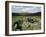 Hut Foundations, Grimspound Enclosure, Dartmoor, Devon, England, United Kingdom-Adam Woolfitt-Framed Photographic Print