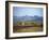 Hut in Field Near Konso Village, Omo River Region, Ethiopia-Janis Miglavs-Framed Photographic Print