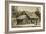 Hut of David Livingstone (1813-1873) in Ujiji-null-Framed Giclee Print