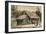 Hut of David Livingstone (1813-1873) in Ujiji-null-Framed Giclee Print