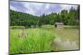 Premium Photographic Print